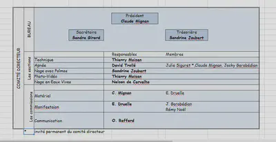 Le comité Directeur